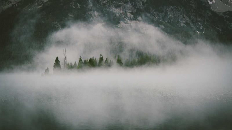 Automating MySQL Database Setup with a Bash Script: Streamline Your Workflow